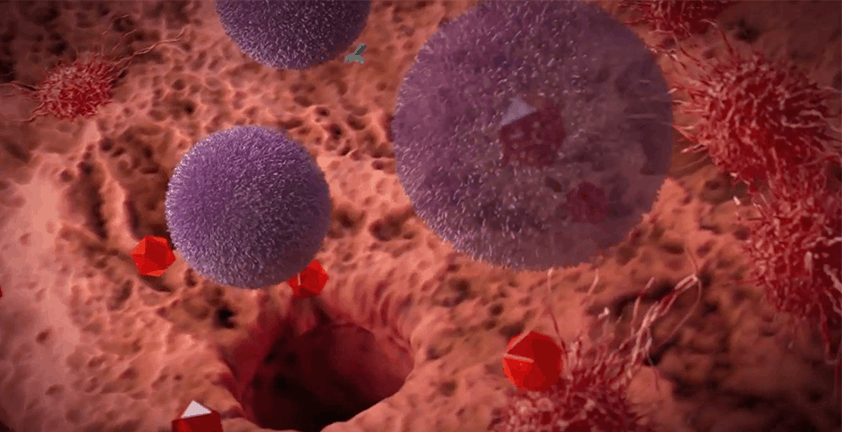Chemotherapy Drug 3D Animation | Chaelyx Moa