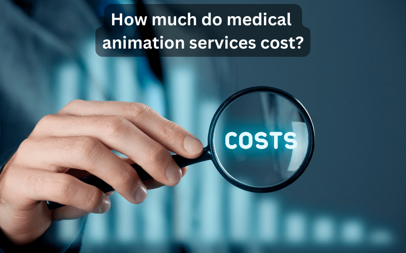 medical animation services cost