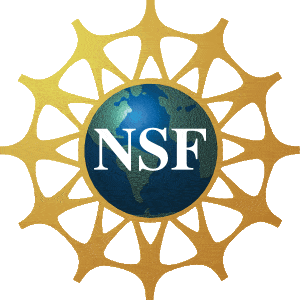 medical-3d-animation-company-NSF-logo-austin-visuals-3d-animation-studio-client-scientific-3d-animated-visualizations-custom-graphics-best