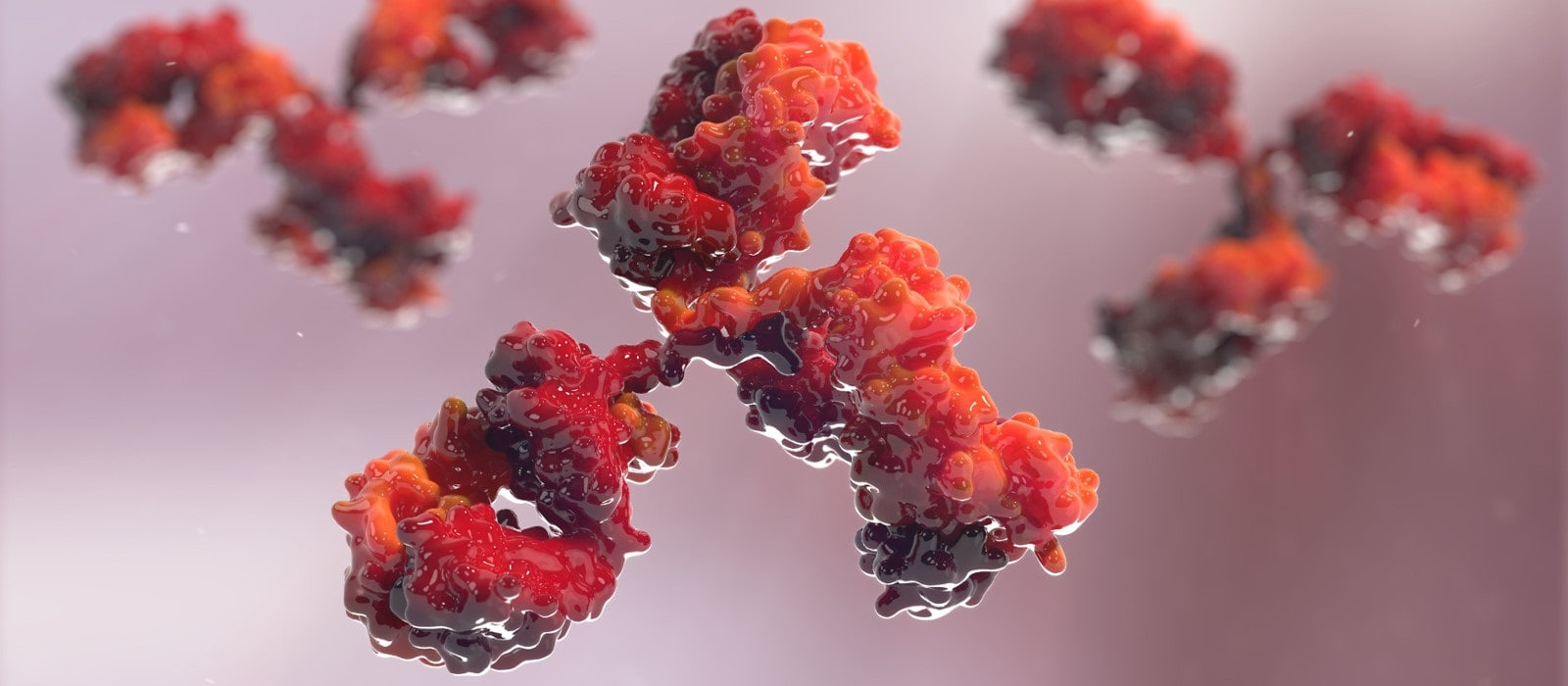 antibody-cell-3d-animation-studio-company-dallas-biomedical-3d-animation-services