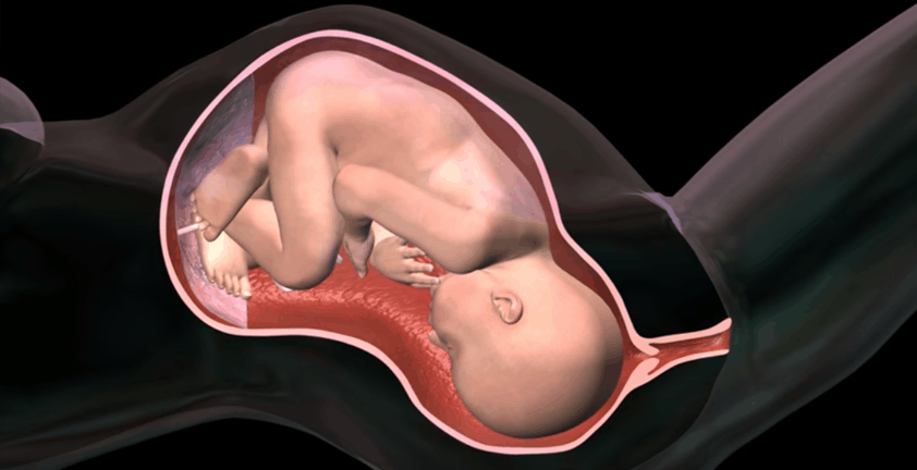 Childbirth 3D Medical Animation | Labor Delivery 3D Visualization