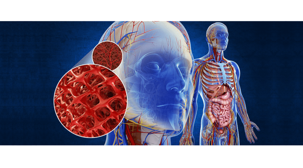 vascular-zoom-detail-3d-medical-illustration-rendering-animation-company-human-procedure-device